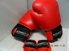 Red 12 Oz Boxing/kick Boxing/MMA Adult Training Gloves