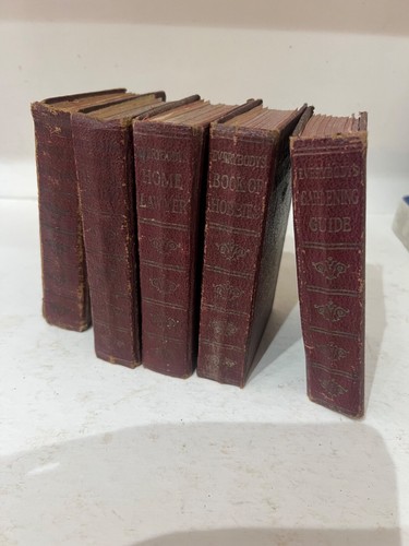 Vintage Antique Old EVERYBODY"S Set OF Books Recipes Doctor Lawyer Hobby Garden - 第 1/15 張圖片