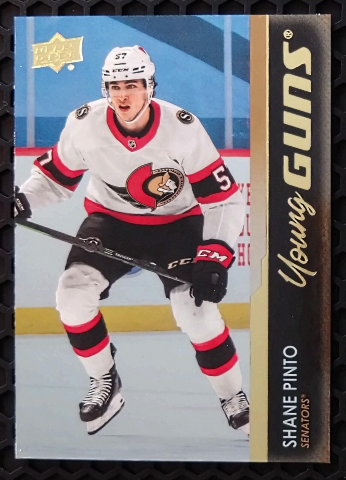 2021-22 Shane Pinto UD Young Guns SILVER FOIL Rookie RC M/NM #246 OTT Senators