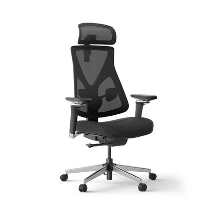 Hinomi D3 Ergonomischer Netz Bürostuhl Verstellbar Lendenwirbel 4D Arme Kopfstütze Schwarz