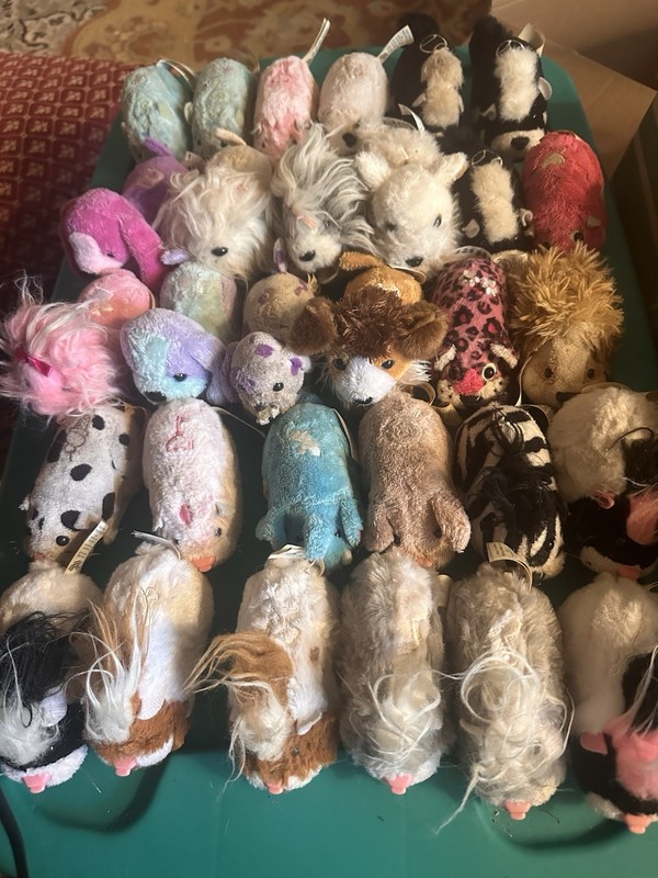 Collection Of 49 Zhu Zhu Pets With Play Sets, Movie, Carriers, Cars, Plus Extra