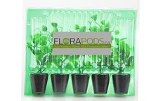 FLORAPODS.CA 5 Plug WIDE Clone shipper, Protective mail order shipping container