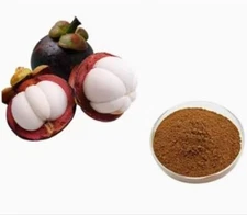 Mangosteen Extract Powder 30% Xanthones Premium Quality Free & Fast Shipping