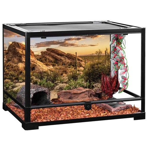 Reptile Habitat Background Blue Sky Oasis Cactus Sun and Desert Terrarium Bac... - Picture 4 of 4