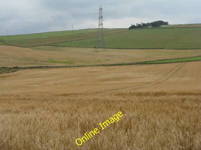 Foto 12x8 Felder bei Collielaw Oxton\/NT4953 Blick nach Westen über Gerste und c2014