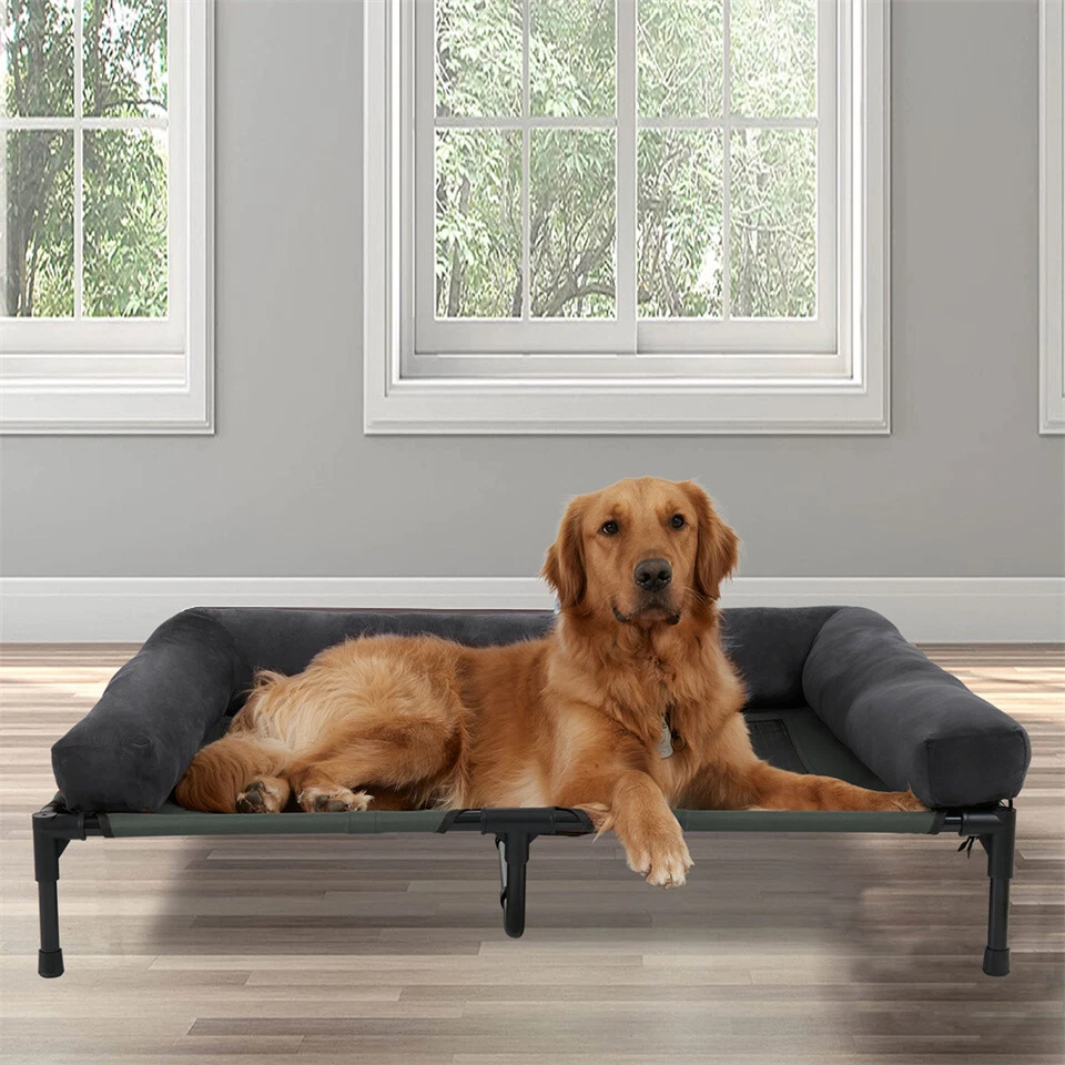 Cama elevada para perros al aire libre para mascotas marco fuerte con refuerzos extraíbles cubierta lavable Foto 4 de 4