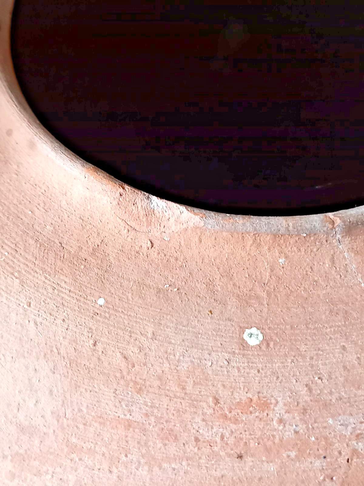 antique terracotta languedoc amphora