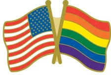 Pack of 12 USA & Rainbow Flag Bike Motorcycle Hat Cap Lapel Pin HP6047