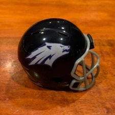 Nevada Wolfpack custom pocket pro helmet Mountain West