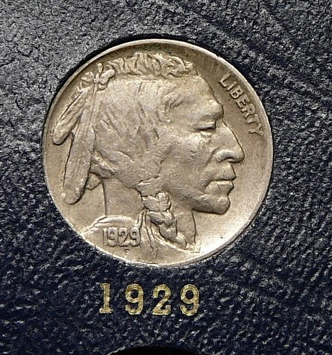1929 Buffalo Nickel - XF   / Extra Fine  (SB)