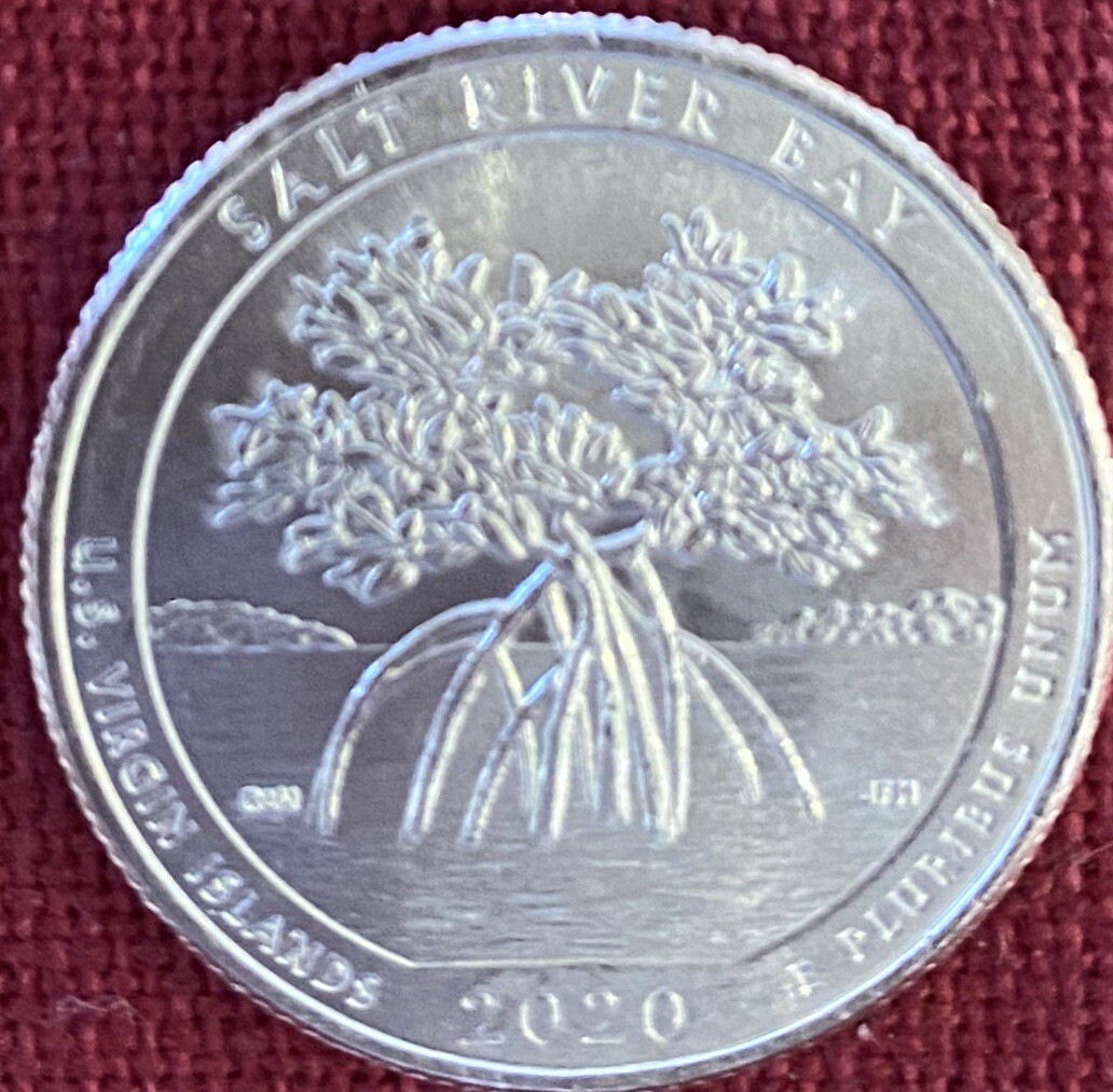 2020 P Salt River Bay Quarter • BU • ATB • eBay