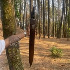 Bild 8 von 10