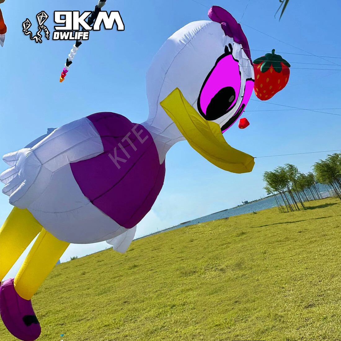 Cometa de pato de 3,5 m línea cometa de lavandería colgante suave inflable cometa de espectáculo para festival