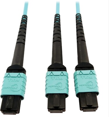 Tripp Lite 400 GB Ethernet Fiber Cable MM 50/125 OM4 Plenum - Multimode Optical