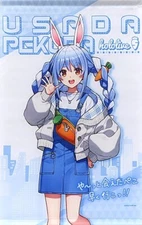 Hololive Usada Pekora Tapestry Holoive Kuji Hololife Outing ver