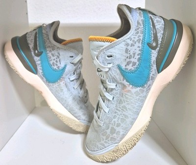Nike Zoom LeBron NXXT Gen''Blue Tint''- Gr.40 Für Hallen Sportarten Wie Basketball