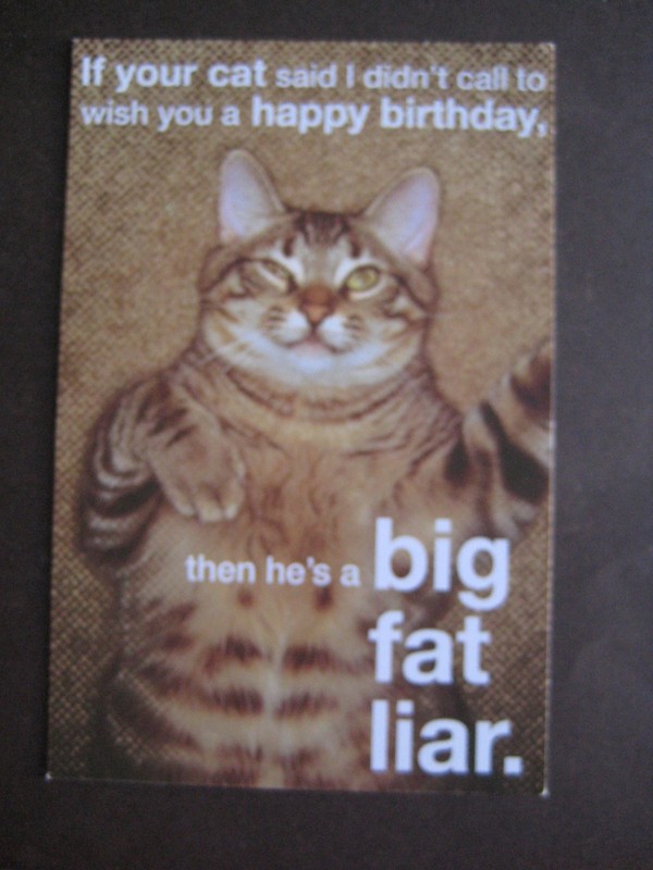 UNUSED vintage greeting card American Greetings BIRTHDAY Cat A Big Fat Liar