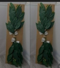 Hearth  Hand by Magnolia Eucalyptus Leaf Faux Stems Case  22" Floral Stems