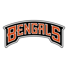 Cincinnati Bengals Logo #8 Football Sticker Waterproof Vinyl Decal Die-Cut Car