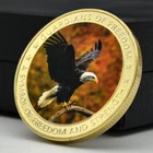 Animal Bald Eagle Commemorative Medal US National Bird Golden Challenge Coin