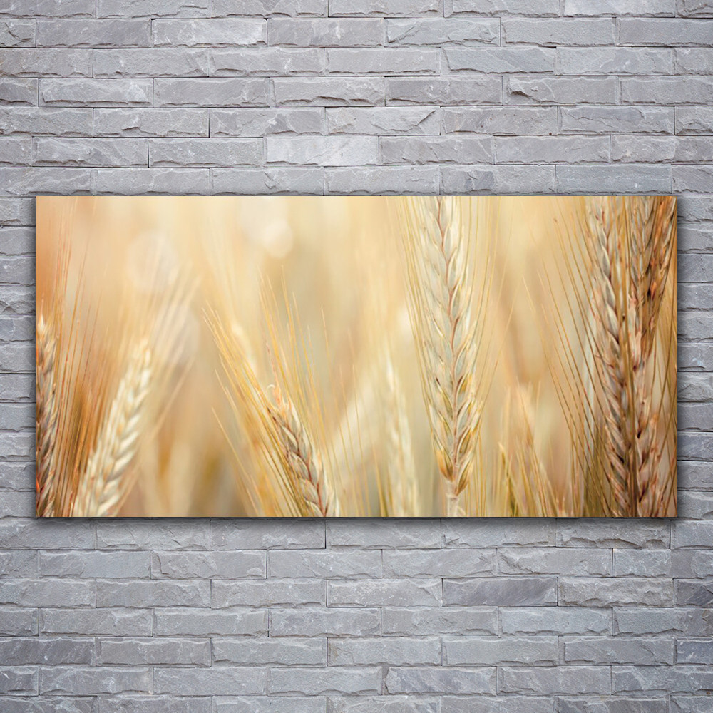 Impression sur toile 120x60 floral blé tableau moderne avec finition mate haut de gamme