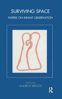 Andrew Briggs | Surviving Space | Buch | Englisch (2019) | Routledge