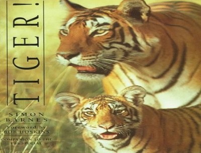 Tiger - ACCEPTABLE