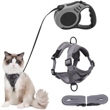 Guinzaglio retrattile 5m cane, nylon, allungabile, sicurezza, passeggiate