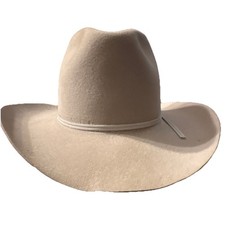 Vintage Stetson Stallion Ravine Felt Western Hat Mist W130 3 1/2" Brim