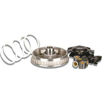 Variator Malossi Multivar 2000 738.04.63 Scarab 4T Rotax 125 1999-2004
