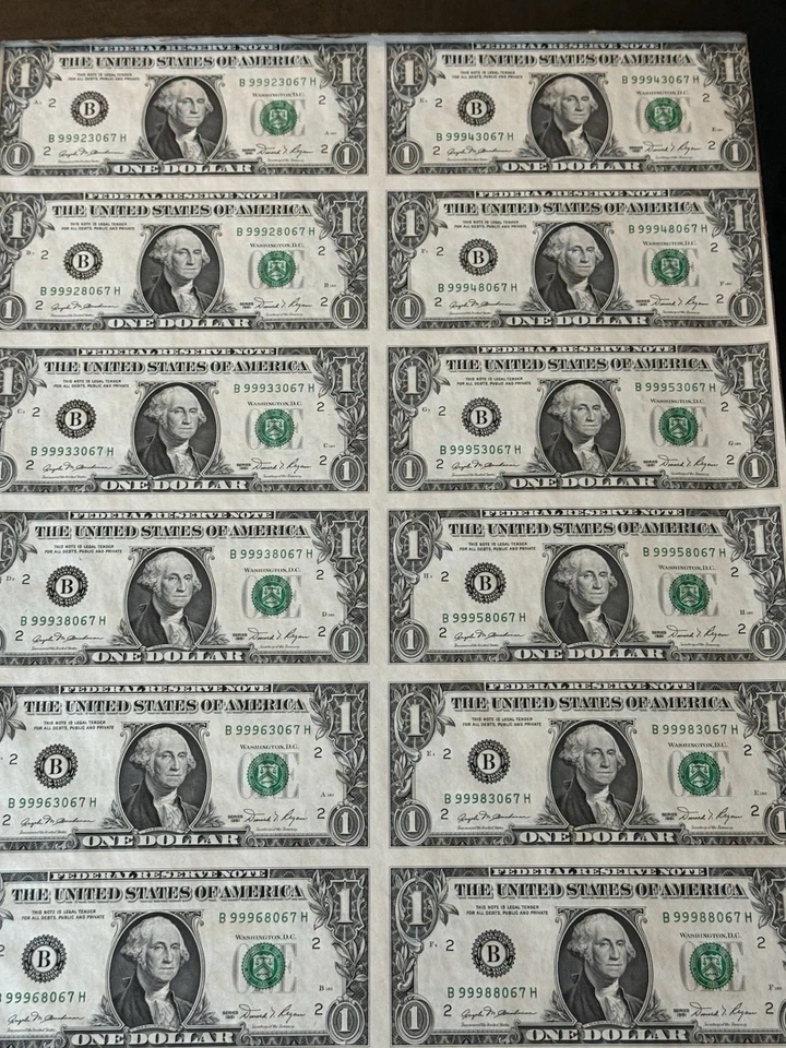 U.S. Dept Of Treasury – 8x2 Sheet Of Uncut $1 Bills – 1981 New York B Mint - Image 3 of 4