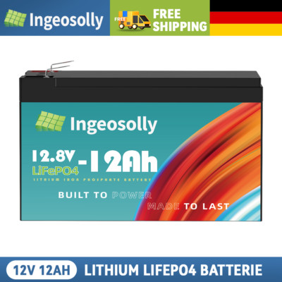 12V 12Ah LiFePO4 Batterie Lithium Akku BMS für Aussenborder Boot Solarbatterie