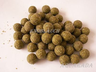Groundbait 500g Angeln Boilies 20mm Knoblauch Baits Angeln Angelfutter