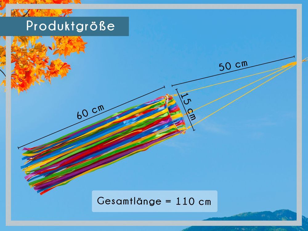 Imagen 4 de 6