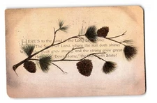 Here's to the Land of the Long Leaf Pine, Postcard
