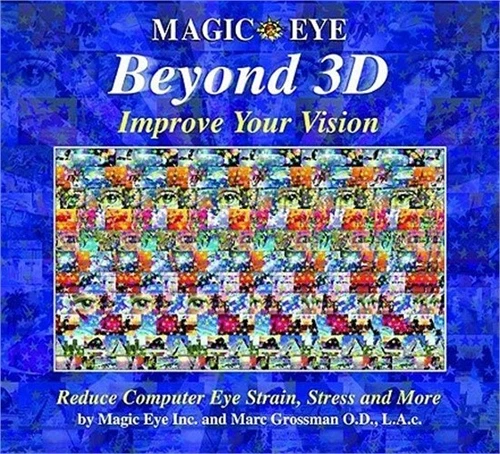 Magic Eye Beyond 3D: Improve Your Vision (Hardback or Cased Book)