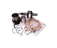 Revisionskit Motor Diesel Ruggerini RF80 Baum Zylinder Kolben Dichtungen
