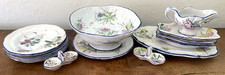 Antique Victorian Child Tea Set 11Pc Hand Painted Butterflies  Insects