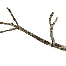 Korkast ca. 90cm für Terrarien Modellbau Kleintiere
