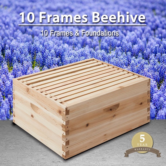 10Frame Deep Size Beekeeping Kit Bee Hive House Frame Beehive 10 Deep