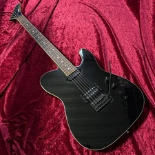 Maintained FERNANDEG TEJ-95S equipped with sustainer Tomoyasu Hotei