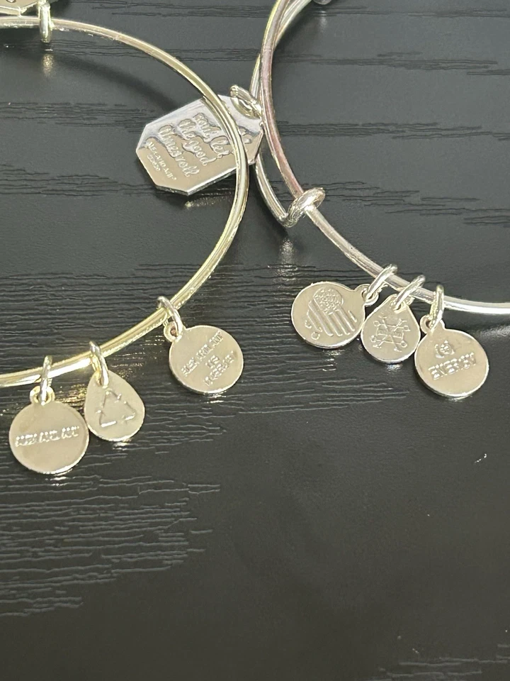 Alex and Ani Conjunto de Pulseras Brazalete Amistad Lote de 2 Foto 4 de 4
