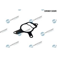 Dr.Motor Dichtung Unterdruckpumpe Passend FüR Audi A3 Q3 TT VW Beetle Golf Jetta