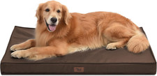 Outdoor All Weather XL Dog Bed, Waterproof Dog Bed for Extra Large Dogs, Orthope