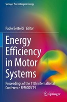 Energy Efficiency In Motor Systems Paolo Bertoldi