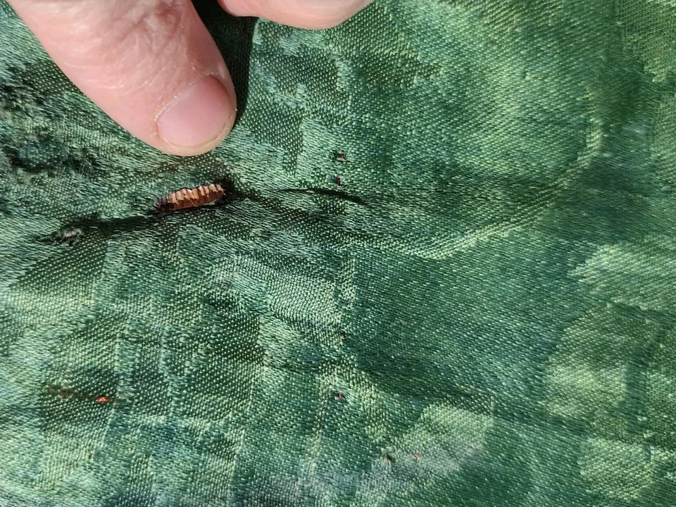 Bata antigua bordada de seda siglo XIX dinastía Qing china histórica grande Foto 3 de 4