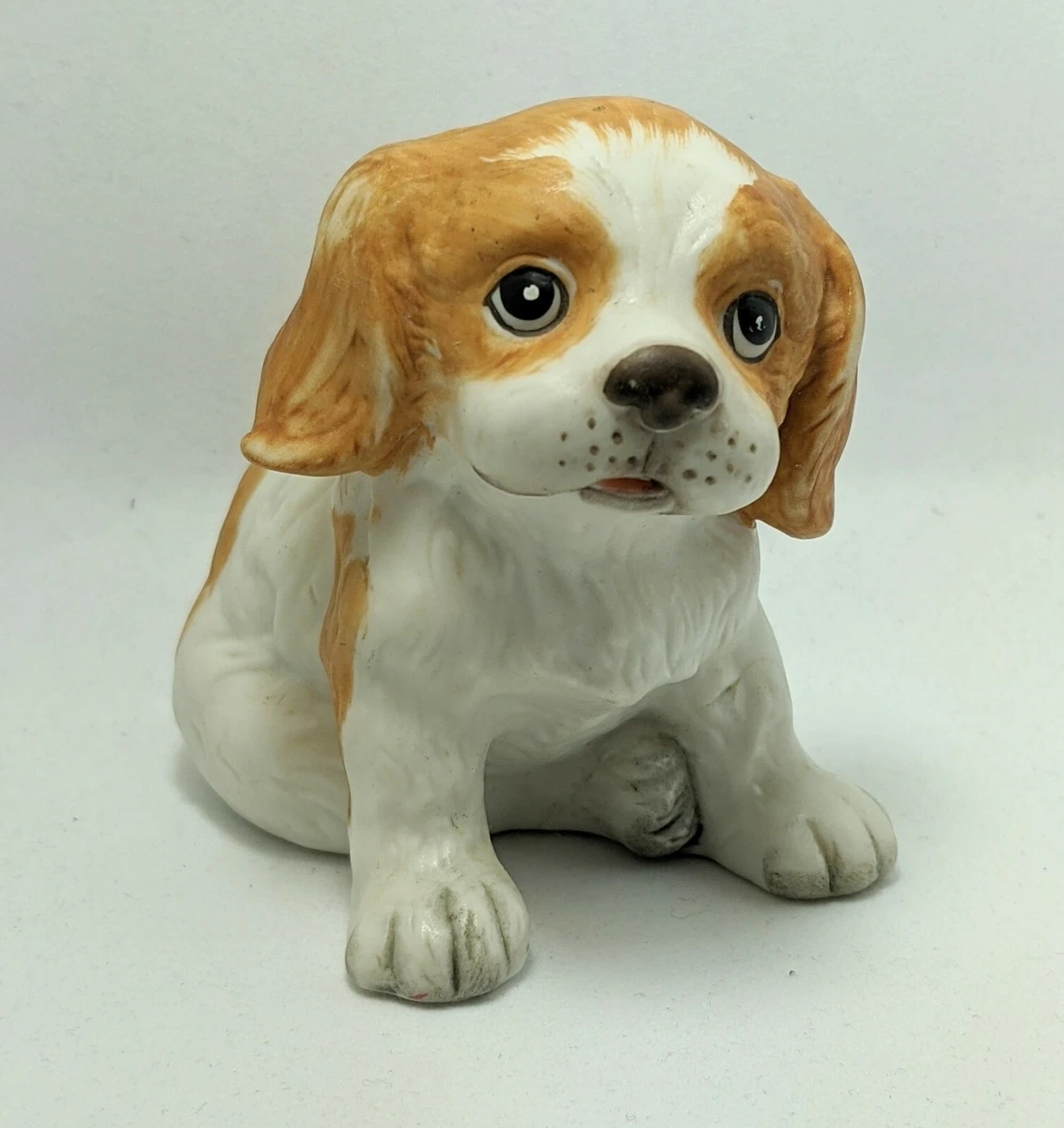 Springer spaniel tan 2025