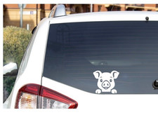 Cute Peeking Pig Car Truck Van Window Vinyl Decal Farmer Funny