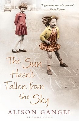 The Sun Hasn't Fallen From the Sky by Gangel, Alison Book The Fast Free Shipping