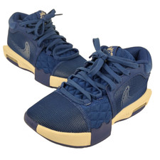Nike LeBron Witness 6 TB Game Royal for Sale | Authenticity  display picture 1